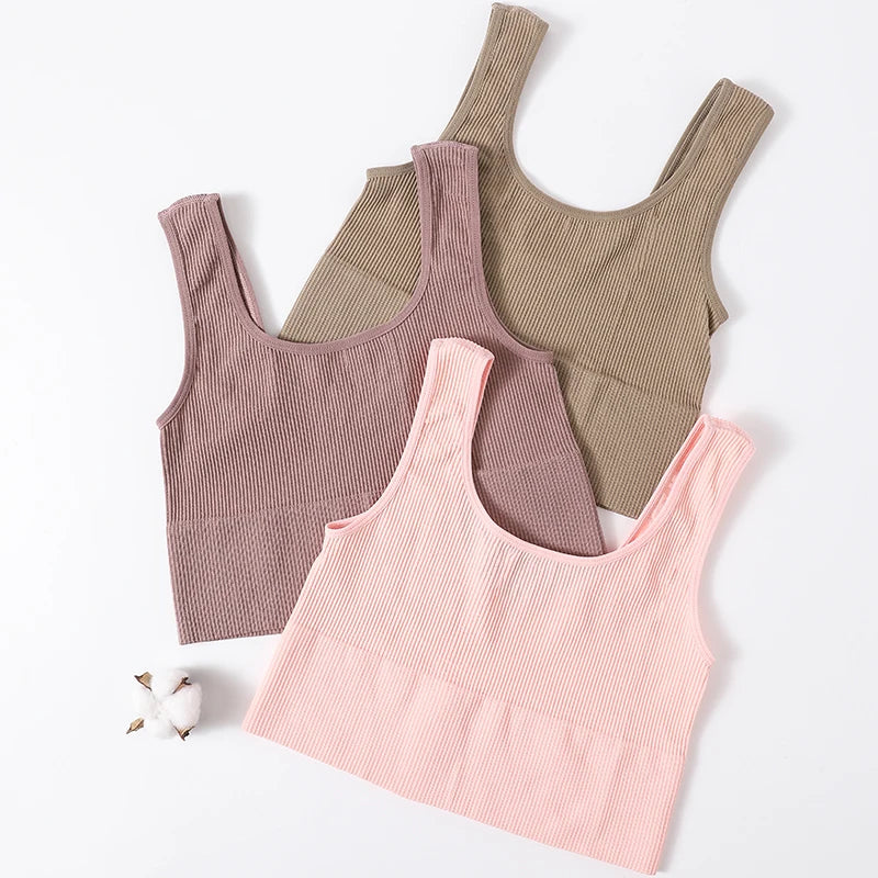Women Seamless Ribbed Cropped Tank Top High Elastic Sleeveless Top Sexy Lingerie Sports Underwear O-neck Bra Daily Camisole M-XL