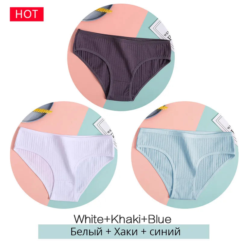 3-Pack Cotton Brief Panties – Soft Low-Rise Everyday Underwear for Women (M–2XL, 28 Color Sets, 2 Styles)