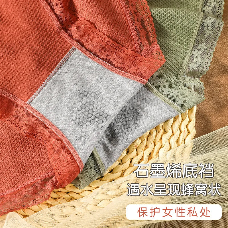 Women's Plus Size High Elastic Briefs | Anti-Bacterial Breathable Lace Underwear (80–150kg)