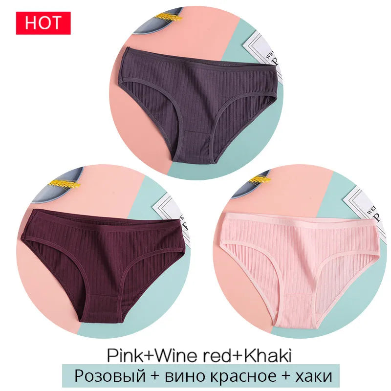 3-Pack Cotton Brief Panties – Soft Low-Rise Everyday Underwear for Women (M–2XL, 28 Color Sets, 2 Styles)
