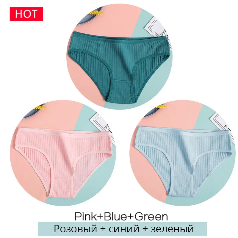 3-Pack Cotton Brief Panties – Soft Low-Rise Everyday Underwear for Women (M–2XL, 28 Color Sets, 2 Styles)
