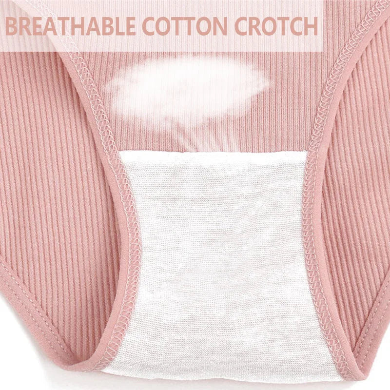 FINETOO 6Pcs/Set M-4XL Sexy Cotton Panties Female Underpants Sexy Panties for Women Briefs Underwear Plus Size Pantys Lingerie