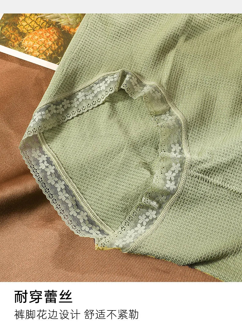 Women's Plus Size High Elastic Briefs | Anti-Bacterial Breathable Lace Underwear (80–150kg)
