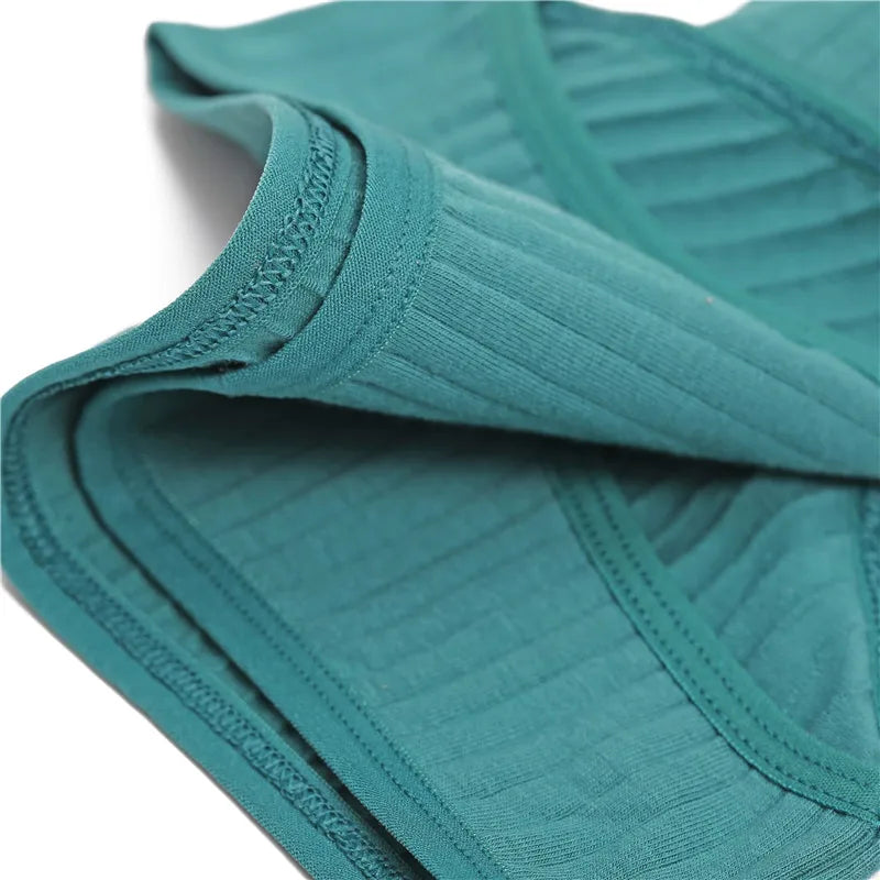 3-Pack Cotton Brief Panties – Soft Low-Rise Everyday Underwear for Women (M–2XL, 28 Color Sets, 2 Styles)