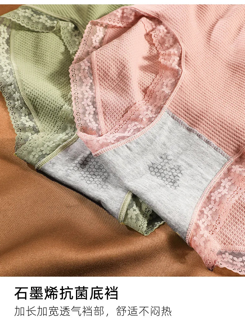 Women's Plus Size High Elastic Briefs | Anti-Bacterial Breathable Lace Underwear (80–150kg)