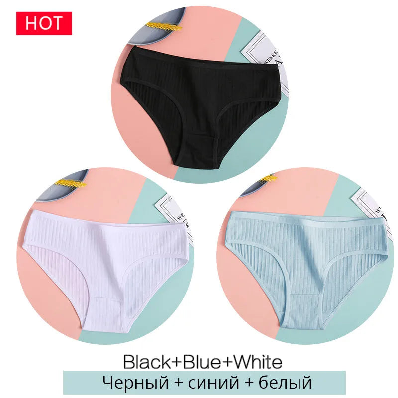 3-Pack Cotton Brief Panties – Soft Low-Rise Everyday Underwear for Women (M–2XL, 28 Color Sets, 2 Styles)