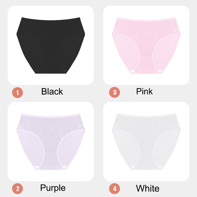 4-Pack Lace Mesh French-Cut Briefs – Semi-Sheer Breathable Underwear for Women (S–XL, 7 Color Sets)
