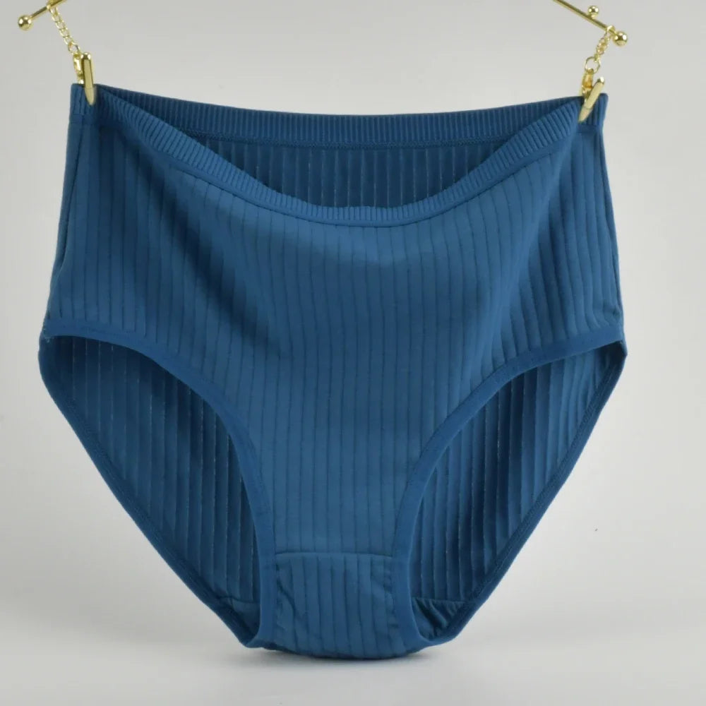 Women's Plus Size Vertical Stripe High-Waist Cotton Briefs | Breathable Soft Underwear (S–2XL)