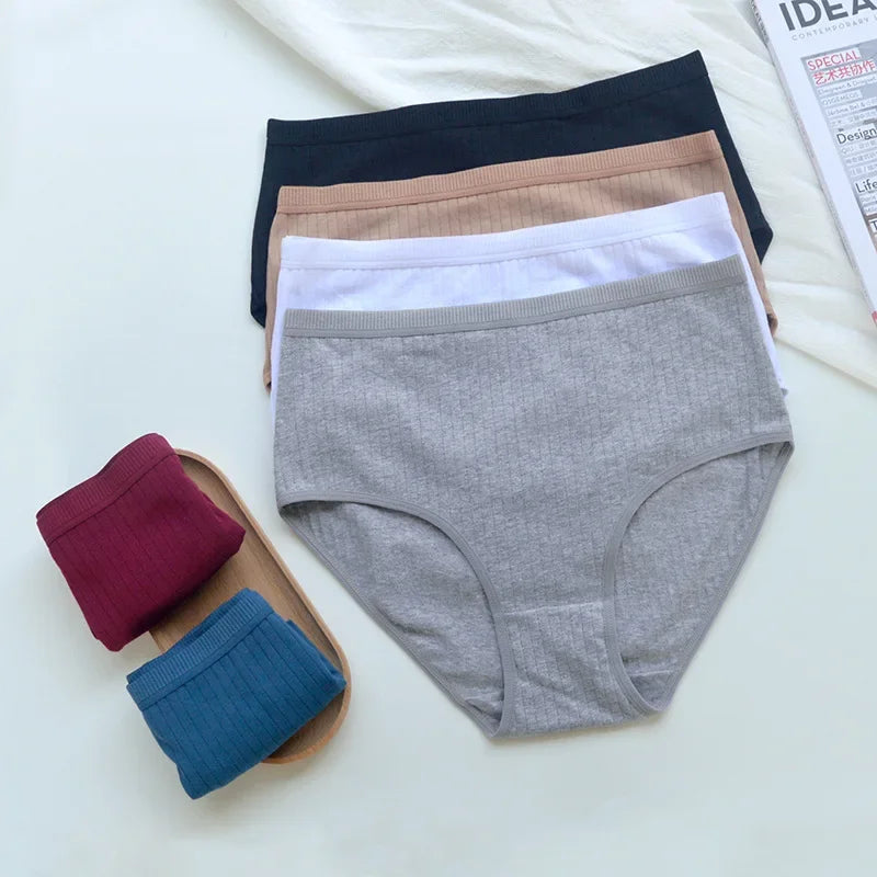 Women's Plus Size Cotton High Waist Briefs – 6-Pack | Breathable Solid Color Underwear (S–2XL)