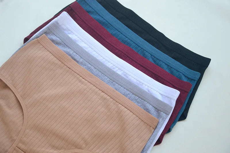 Women's Plus Size Cotton High Waist Briefs – 6-Pack | Breathable Solid Color Underwear (S–2XL)
