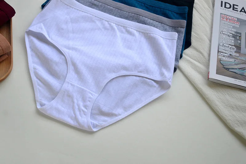 Women's Plus Size Cotton High Waist Briefs – 6-Pack | Breathable Solid Color Underwear (S–2XL)