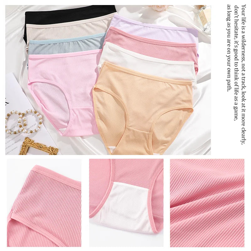 4-Pack Lace Mesh French-Cut Briefs – Semi-Sheer Breathable Underwear for Women (S–XL, 7 Color Sets)