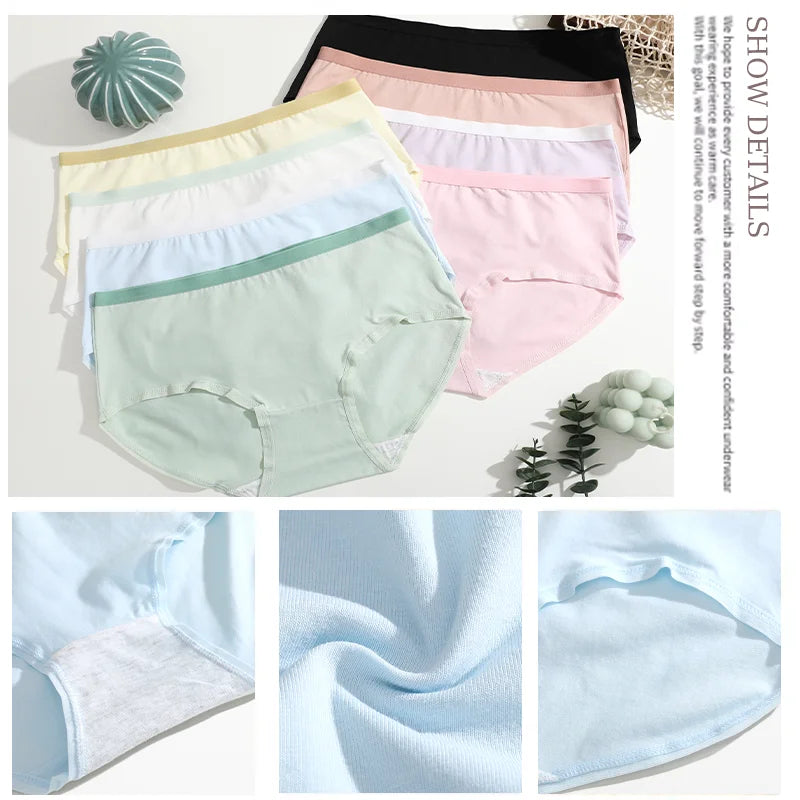 3-Pack Seamless Cotton Brief Panties – Soft Low-Rise Everyday Underwear for Women (S–XL, 8 Color Sets)