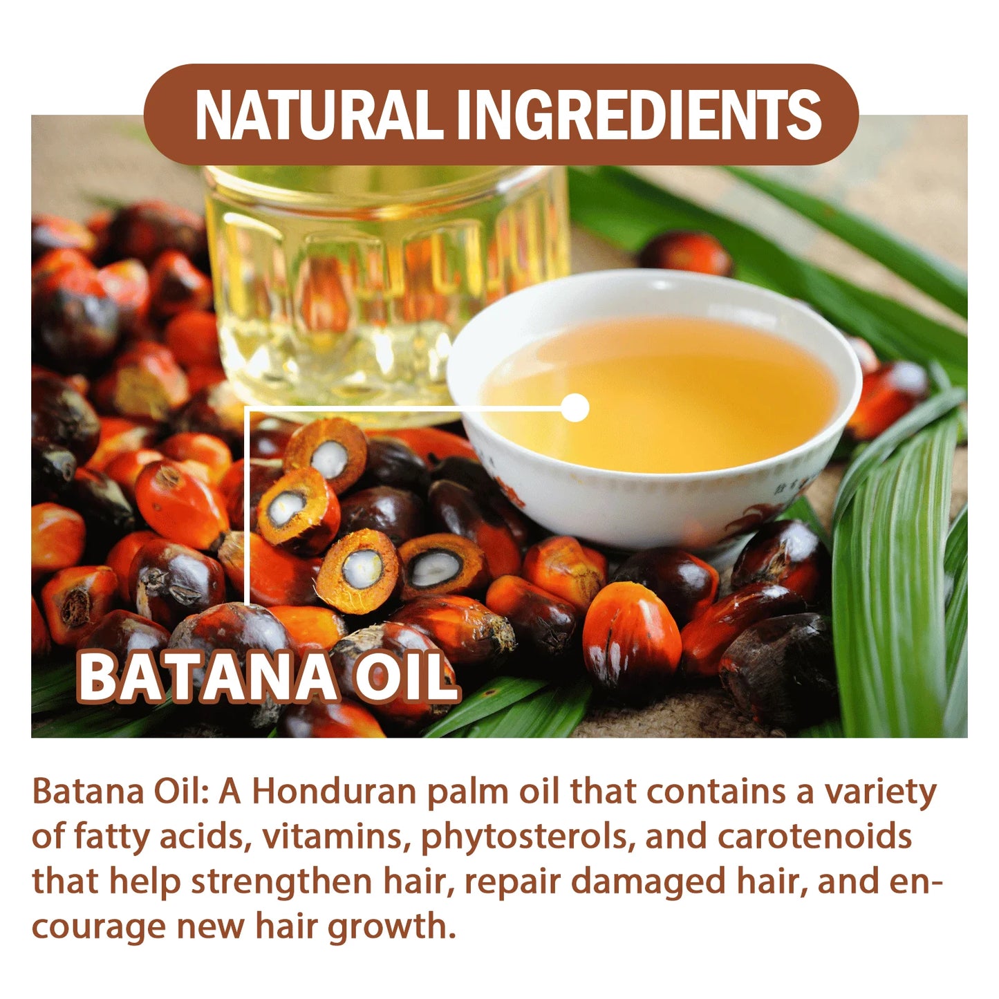 Batana Oil Hair Growth Mask – Organic Treatment for Hair Loss, Breakage & Dry Scalp