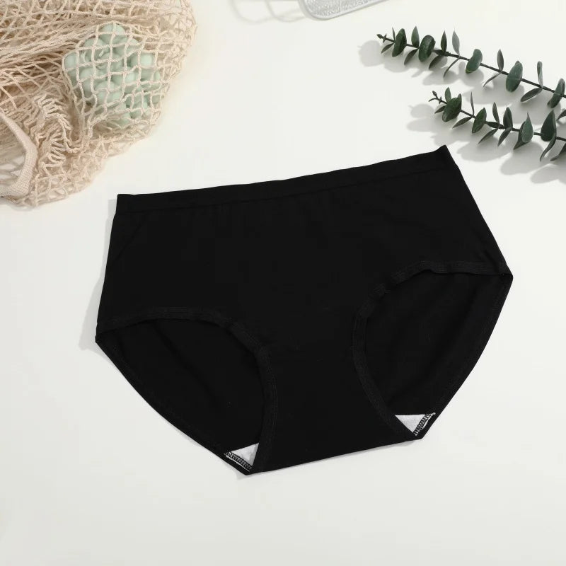 3-Pack Seamless Cotton Brief Panties – Soft Low-Rise Everyday Underwear for Women (S–XL, 8 Color Sets)