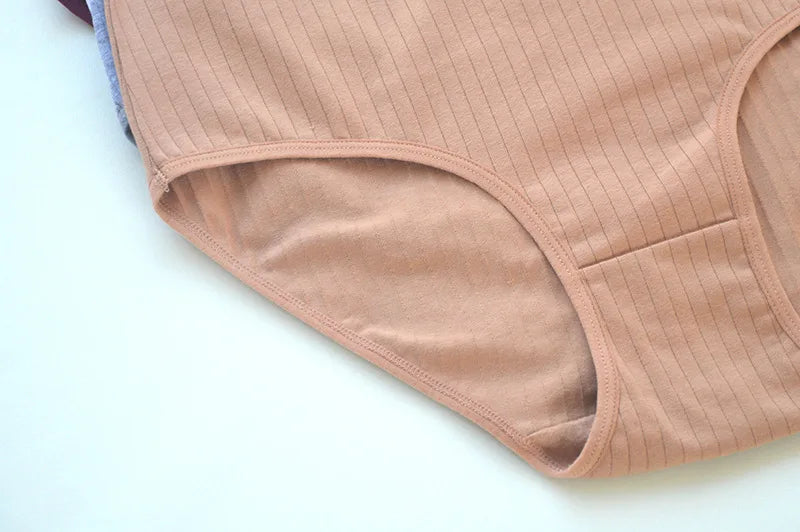 Women's Plus Size Cotton High Waist Briefs – 6-Pack | Breathable Solid Color Underwear (S–2XL)