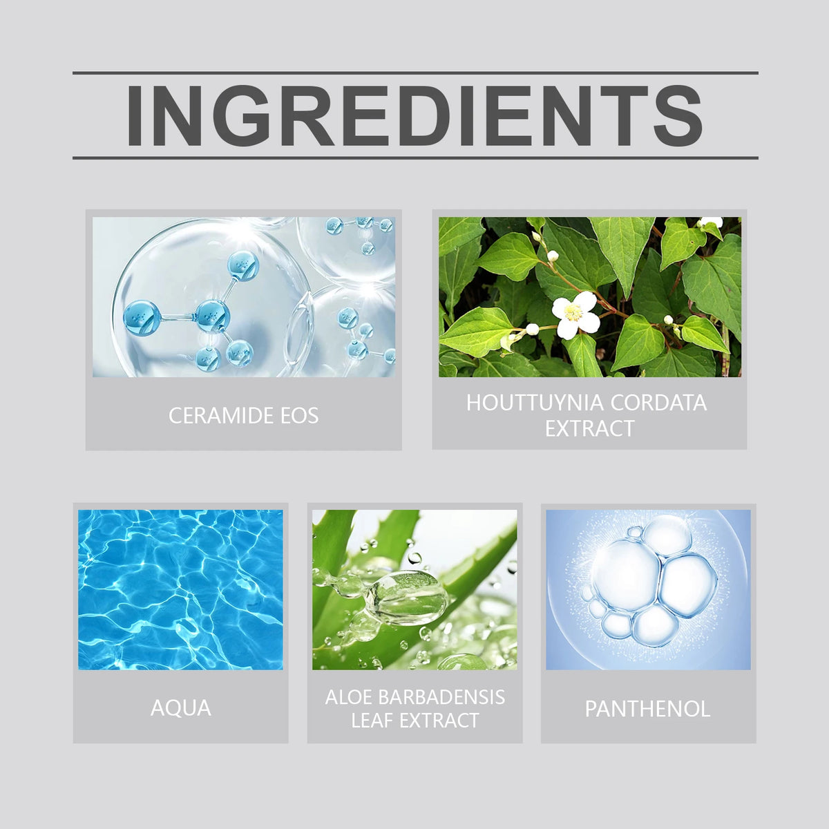 Hoygi Moisturizing Face Cream – 50g, Single & Multipack Options