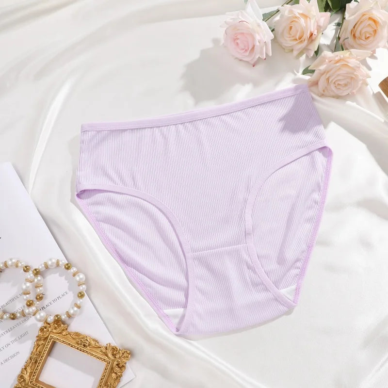 4-Pack Lace Mesh French-Cut Briefs – Semi-Sheer Breathable Underwear for Women (S–XL, 7 Color Sets)