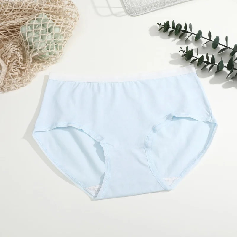 3-Pack Seamless Cotton Brief Panties – Soft Low-Rise Everyday Underwear for Women (S–XL, 8 Color Sets)