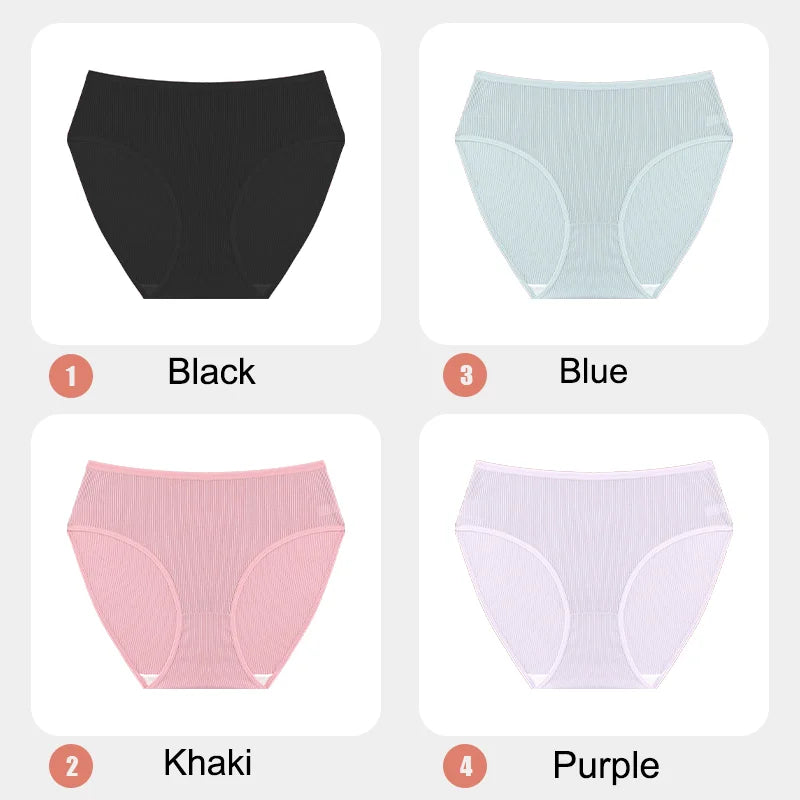 4-Pack Lace Mesh French-Cut Briefs – Semi-Sheer Breathable Underwear for Women (S–XL, 7 Color Sets)