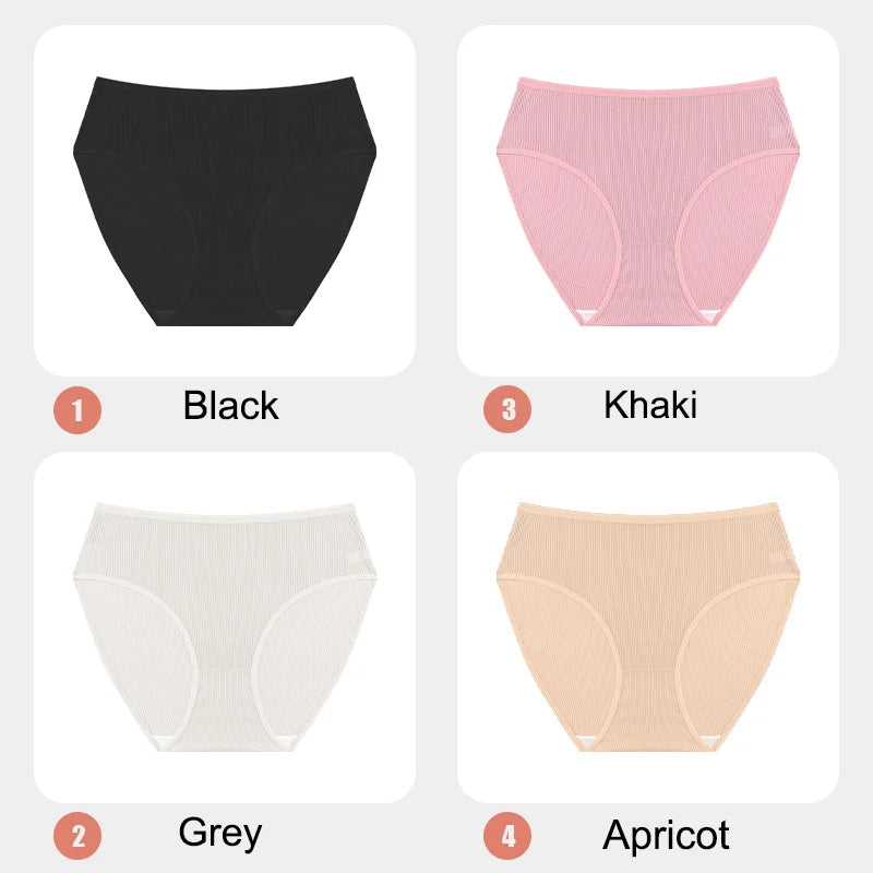 4-Pack Lace Mesh French-Cut Briefs – Semi-Sheer Breathable Underwear for Women (S–XL, 7 Color Sets)