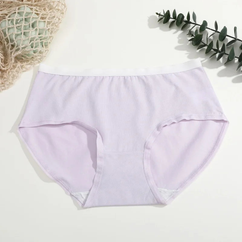 3-Pack Seamless Cotton Brief Panties – Soft Low-Rise Everyday Underwear for Women (S–XL, 8 Color Sets)