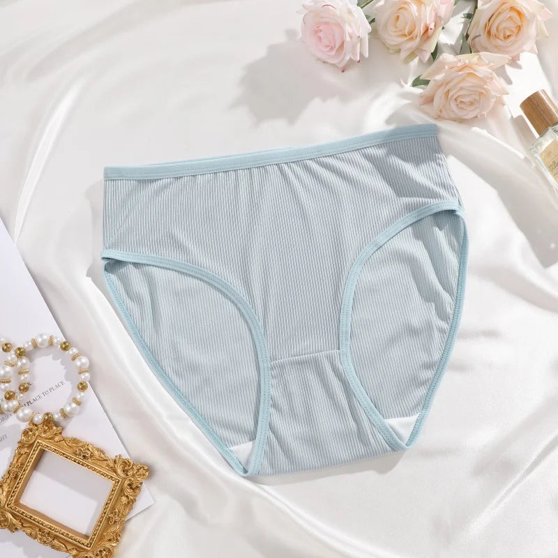 4-Pack Lace Mesh French-Cut Briefs – Semi-Sheer Breathable Underwear for Women (S–XL, 7 Color Sets)