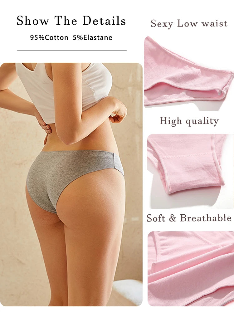 4-Pack Cotton Low-Rise Briefs – Soft Breathable Everyday Underwear for Women (M–2XL, 19 Color Sets)