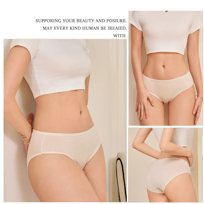4-Pack Lace Mesh French-Cut Briefs – Semi-Sheer Breathable Underwear for Women (S–XL, 7 Color Sets)