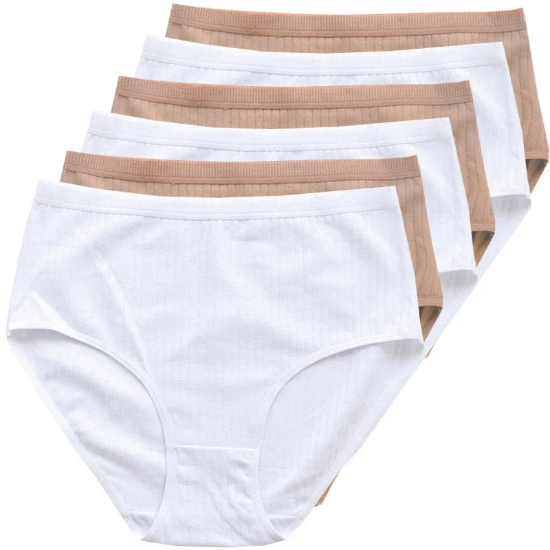 Women's Plus Size Cotton High Waist Briefs – 6-Pack | Breathable Solid Color Underwear (S–2XL)