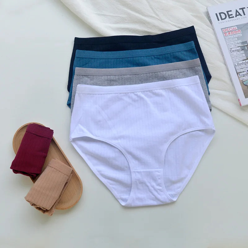 Women's Plus Size Cotton High Waist Briefs – 6-Pack | Breathable Solid Color Underwear (S–2XL)