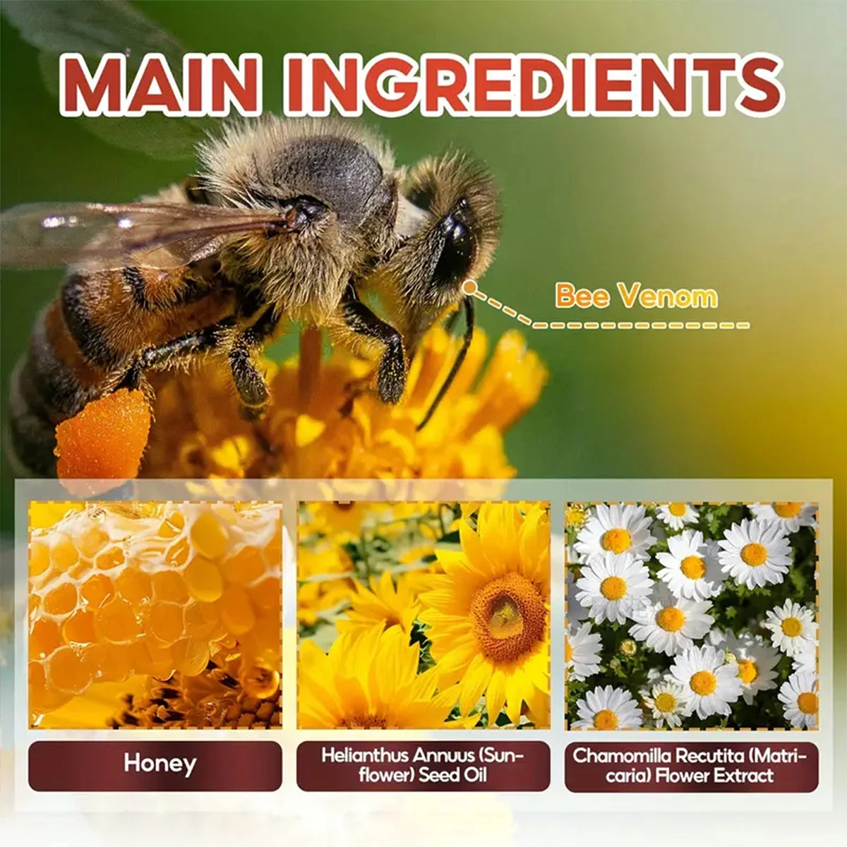 Bee Venom & Horse Oil Joint Cream - Moisturizing Formula with Ginger, Chamomile, and Arnica Extracts, Suitable for Knees, Back, Shoulders, and Neck Muscles - 60g