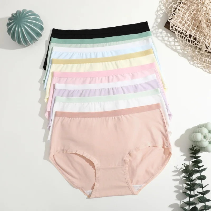 3-Pack Seamless Cotton Brief Panties – Soft Low-Rise Everyday Underwear for Women (S–XL, 8 Color Sets)