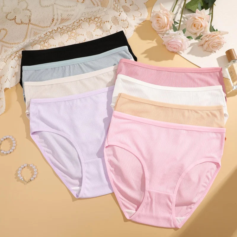 4-Pack Lace Mesh French-Cut Briefs – Semi-Sheer Breathable Underwear for Women (S–XL, 7 Color Sets)