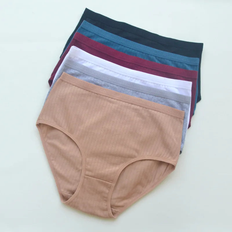 Women's Plus Size Cotton High Waist Briefs – 6-Pack | Breathable Solid Color Underwear (S–2XL)