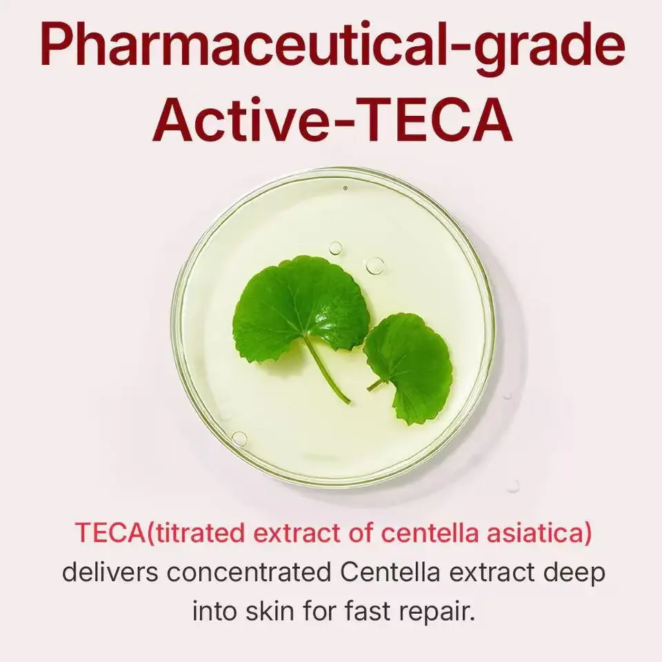 Madeca Cream Time Reverse Firming Moisturizer 240H Deep Hydration Smoothing Elasticity Care All Skin Types Korean Skincare
