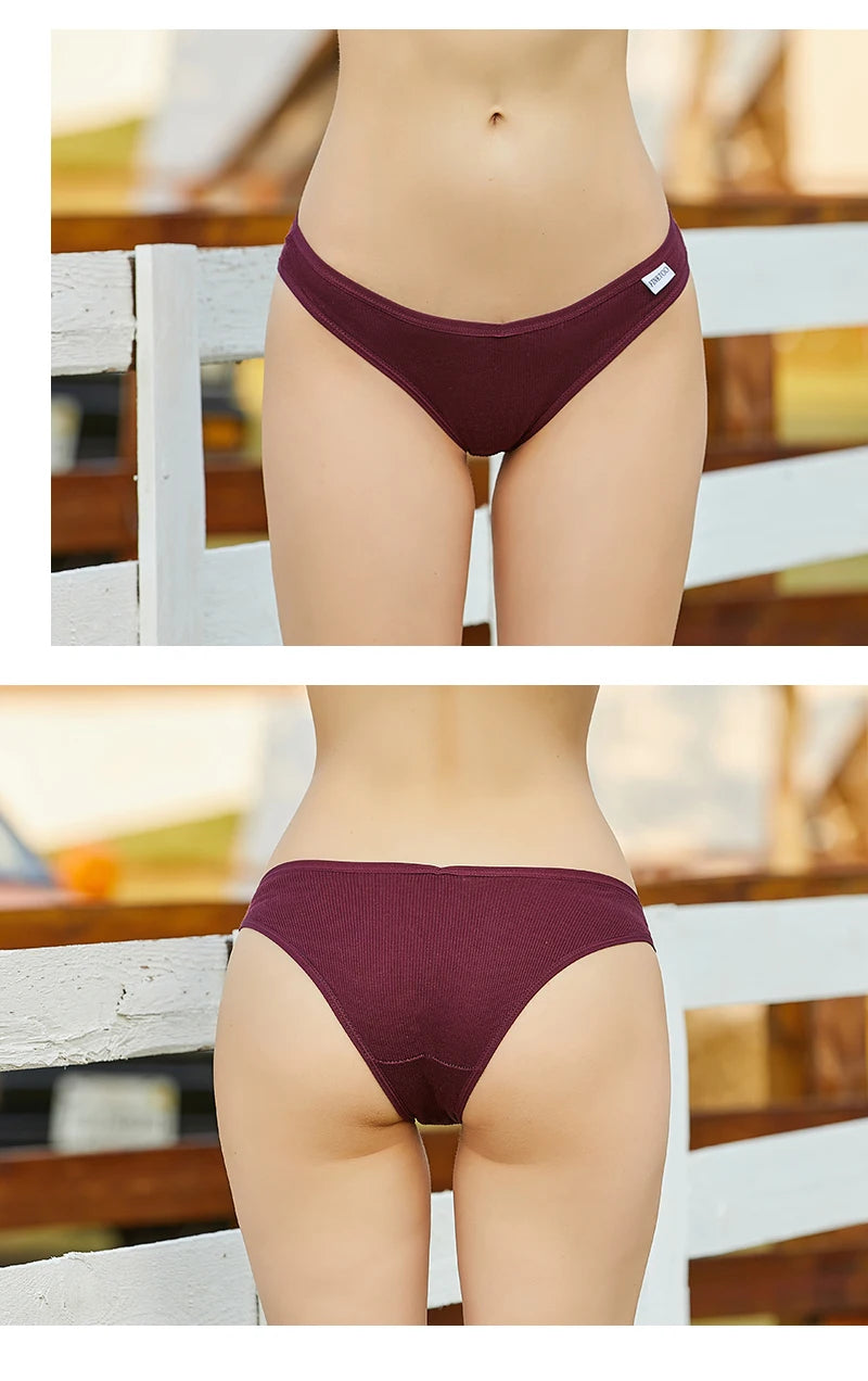 3-Pack Plus Size Cotton Brief Panties – Soft Low-Rise Everyday Underwear for Women (M–4XL, 18 Color Sets)