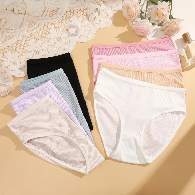 4-Pack Lace Mesh French-Cut Briefs – Semi-Sheer Breathable Underwear for Women (S–XL, 7 Color Sets)