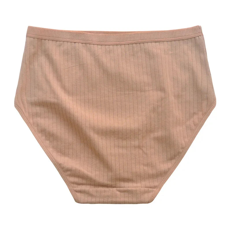 Women's Plus Size Cotton High Waist Briefs – 6-Pack | Breathable Solid Color Underwear (S–2XL)