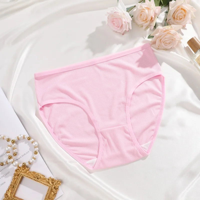 4-Pack Lace Mesh French-Cut Briefs – Semi-Sheer Breathable Underwear for Women (S–XL, 7 Color Sets)