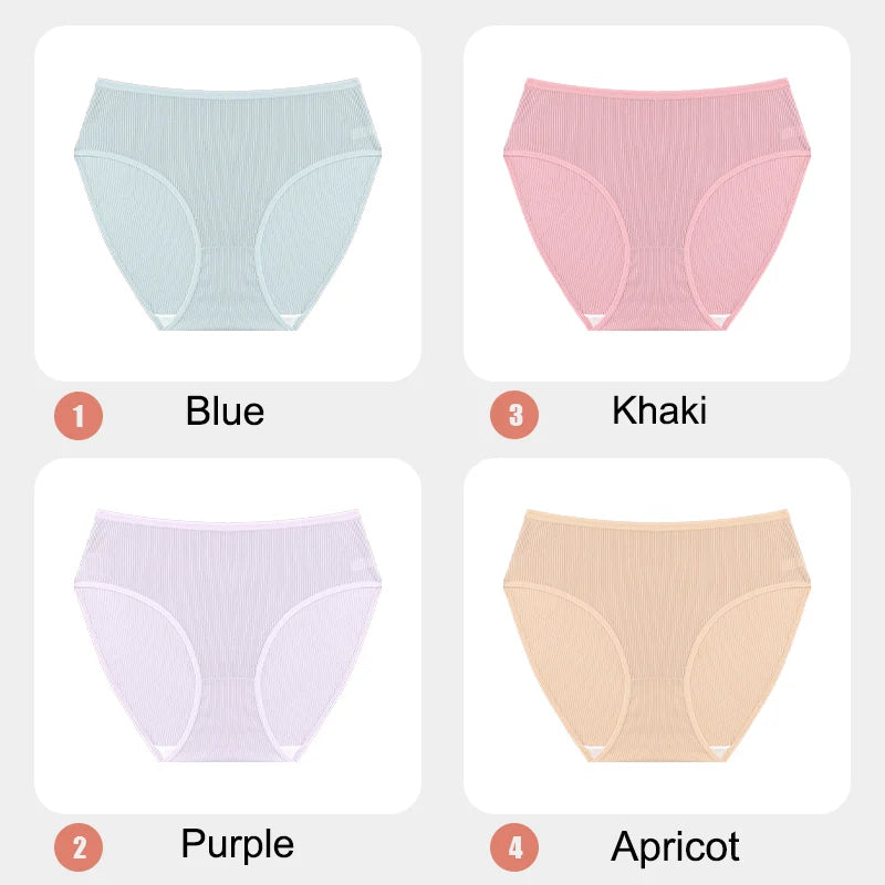4-Pack Lace Mesh French-Cut Briefs – Semi-Sheer Breathable Underwear for Women (S–XL, 7 Color Sets)
