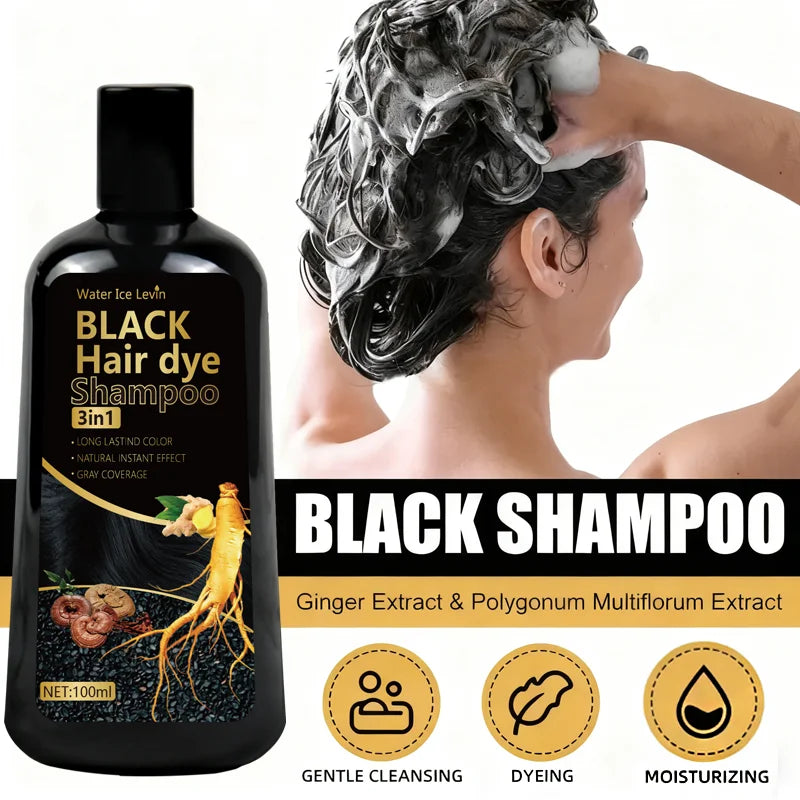 3-in-1 Black Hair Dye Shampoo with Ginger & Biotin – Long-Lasting Color, Gray Coverage & Hair Growth | 100g