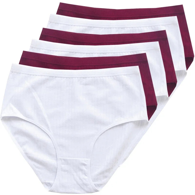 Women's Plus Size Cotton High Waist Briefs – 6-Pack | Breathable Solid Color Underwear (S–2XL)