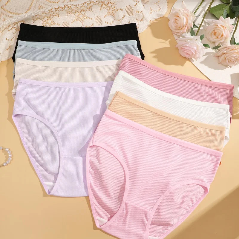 4-Pack Lace Mesh French-Cut Briefs – Semi-Sheer Breathable Underwear for Women (S–XL, 7 Color Sets)