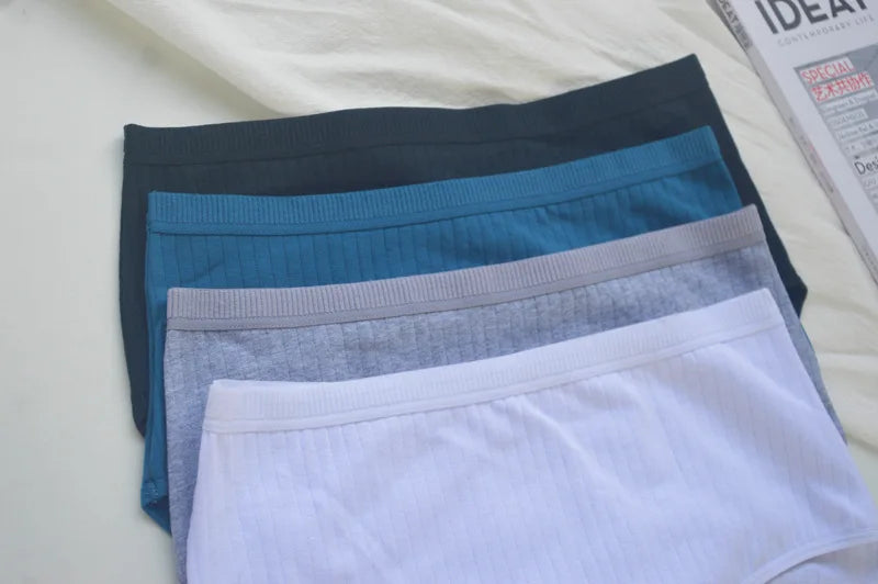 Women's Plus Size Cotton High Waist Briefs – 6-Pack | Breathable Solid Color Underwear (S–2XL)