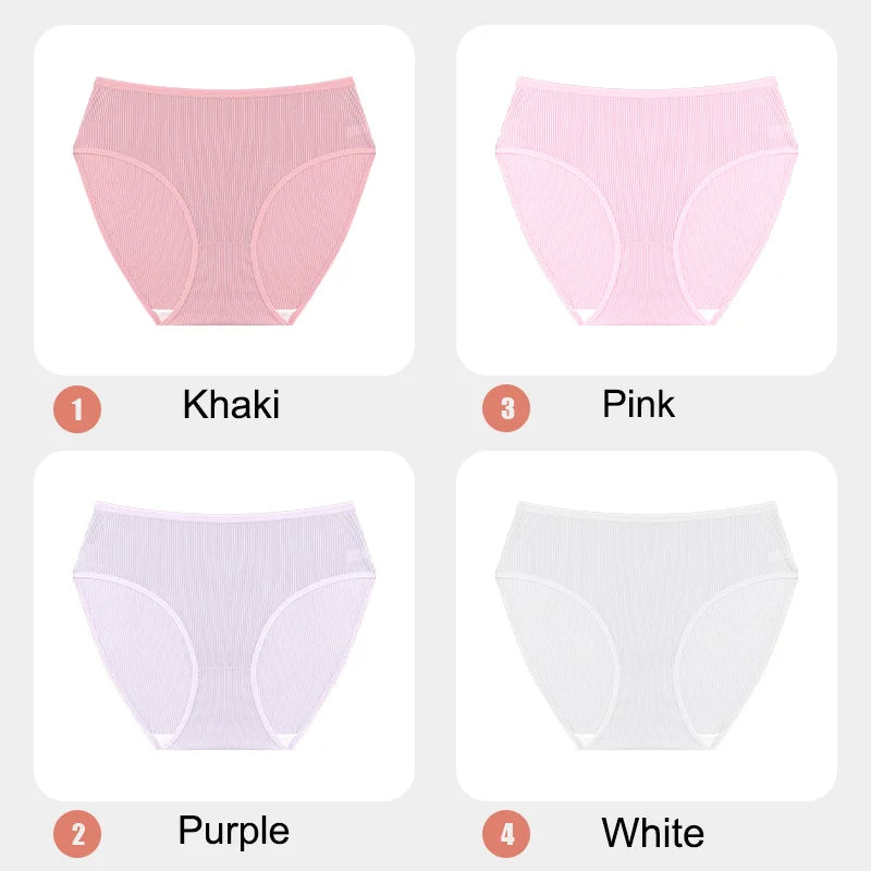 4-Pack Lace Mesh French-Cut Briefs – Semi-Sheer Breathable Underwear for Women (S–XL, 7 Color Sets)