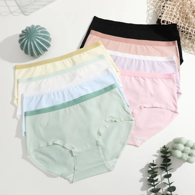 3-Pack Seamless Cotton Brief Panties – Soft Low-Rise Everyday Underwear for Women (S–XL, 8 Color Sets)