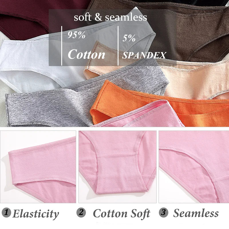 3-Pack Cotton Low-Rise Briefs – Breathable Lace-Trim Underwear for Women (S–XL, 20 Color Sets)