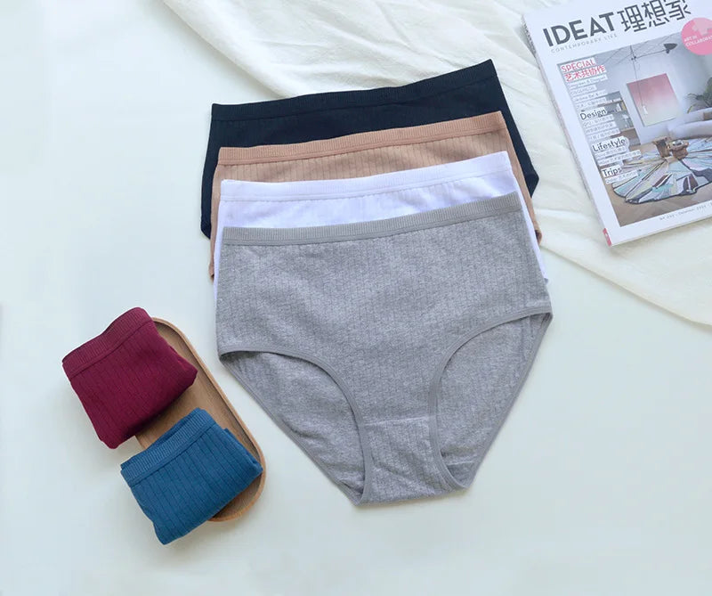 Women's Plus Size Cotton High Waist Briefs – 6-Pack | Breathable Solid Color Underwear (S–2XL)