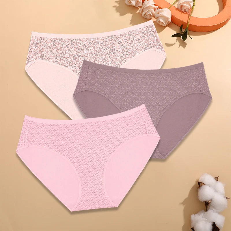 3-Pack Cotton High Waist Briefs — Plus Size XL–4XL Breathable Panties